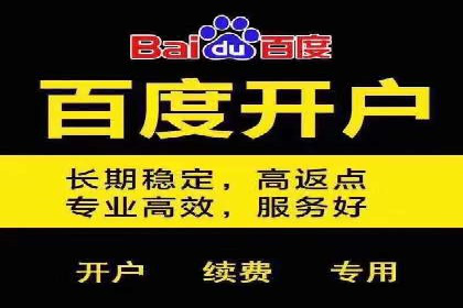 某知名企业竞价推广策略全解析